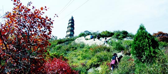 崛圍山